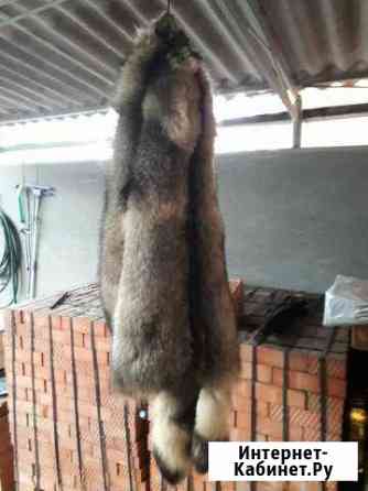 Выделка и покраска шкур Краснодар