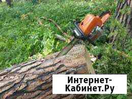 Спил деревьев,расчистка участка,вывоз Таганрог