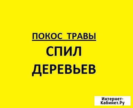 Спил деревьев. Вывоз остатков Орёл