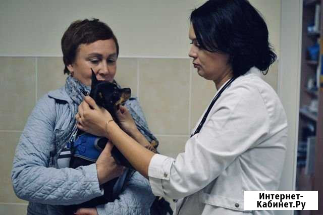 Ветеринарный врач (круглосуточно) выезд на дом Нижний Новгород - изображение 1