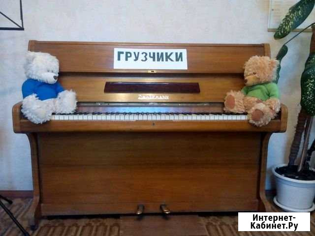 Грузчики. Перевозка пианино, вещи до 400 кг Нижний Новгород - изображение 1