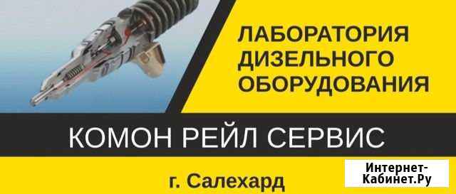 Ремонт форсунок common rail Салехард - изображение 1