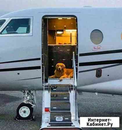 Авиационный английский Пушкин