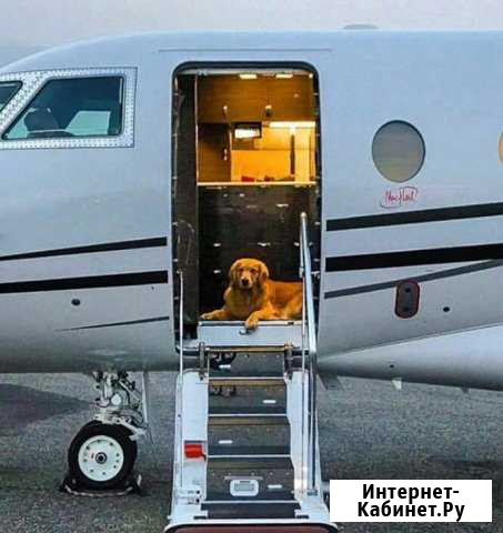 Авиационный английский Пушкин - изображение 1