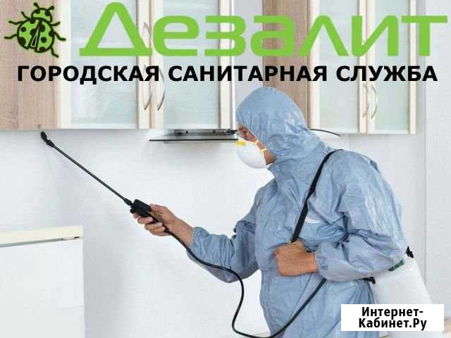 Уничтожение клопов и тараканов в Смоленске Смоленск - изображение 1