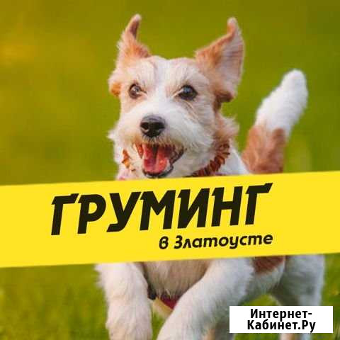 Стрижка собак и кошек Златоуст - изображение 1