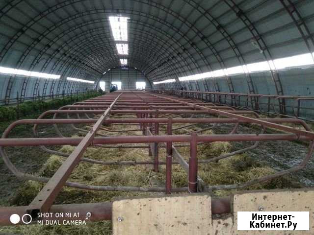 Зоотехник Уфа - изображение 1