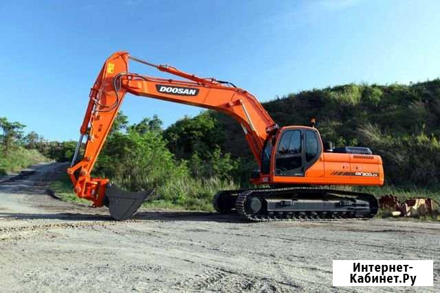 Сдаем в аренду Экскаватор гусечный doosan DX300LCA Омск - изображение 1