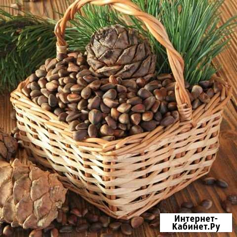Кедровый орех Осинники - изображение 1