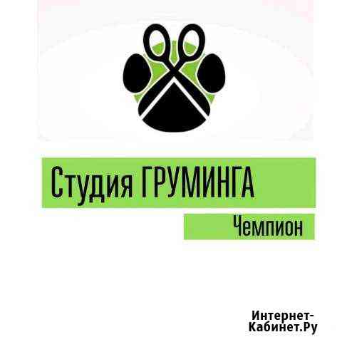 Студия груминга Комсомольск-на-Амуре