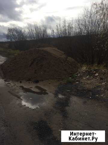 Пгс, боровой песок Шипицыно - изображение 1