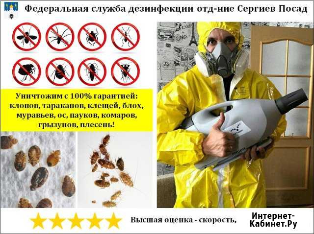 Уничтожение клопов, тараканов, клещей, насекомых Сергиев Посад - изображение 1