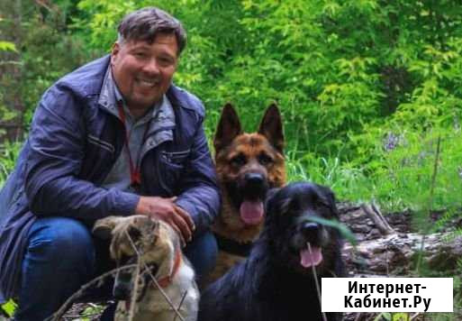 Дрессировка/Послушание/Охрана Сарманово - изображение 1