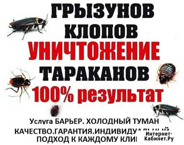 Обработка помещений от вредителей Нижний Новгород - изображение 1