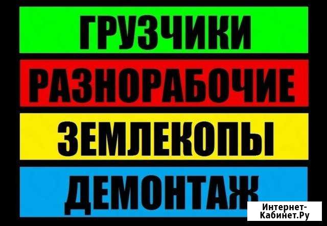 Грузчики,разнорабочие, вывоз мусора Кисловодск - изображение 1