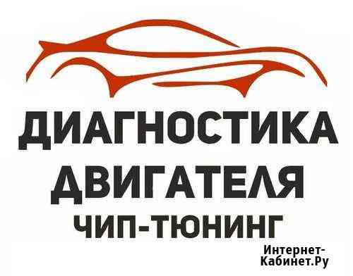 Чип тюнинг. Диагностика эл.систем автомобиля Нижний Новгород