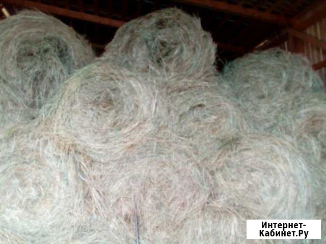 Продам сено Архангельск - изображение 1