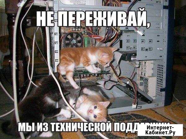 Специалист в области информационных технологий Петрозаводск - изображение 1