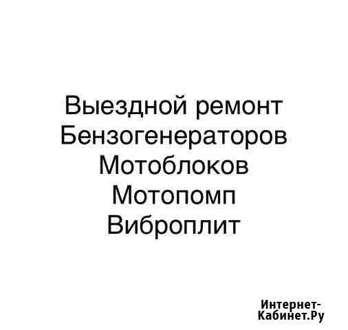 Несложный выездной ремонт бензотехники Ростов-на-Дону