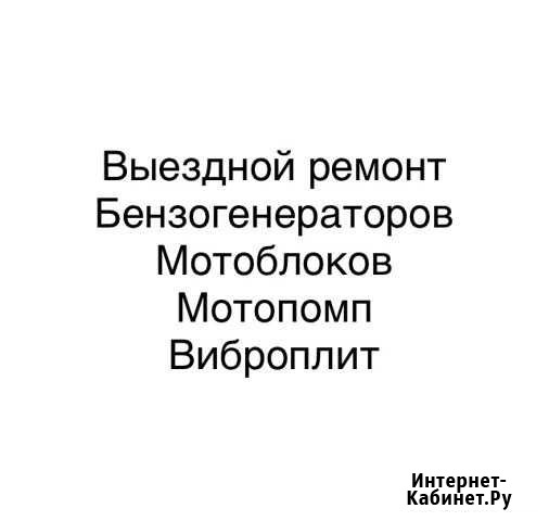 Несложный выездной ремонт бензотехники Ростов-на-Дону - изображение 1