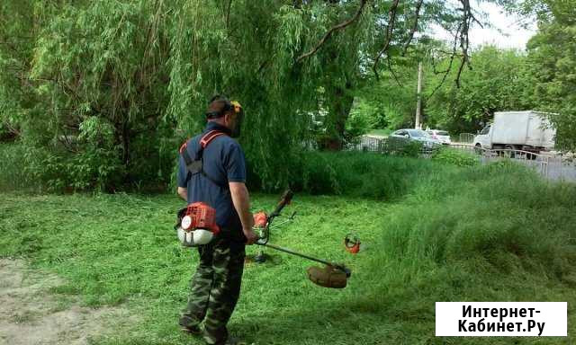Обрезка, опрыскивание деревьев Воронеж - изображение 1