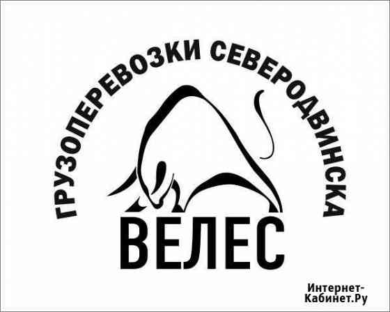 Грузоперевозки Велес. Заказ Газелей, грузчики Северодвинск