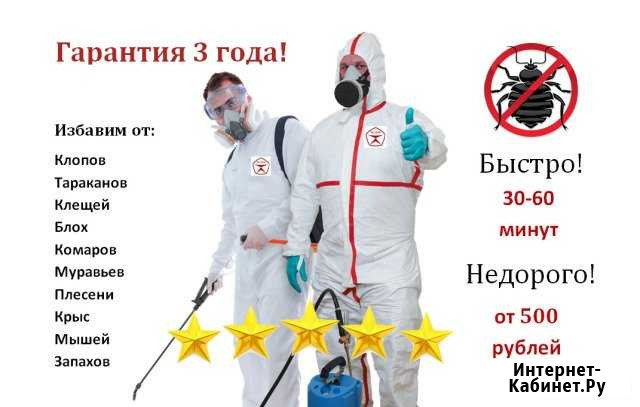 Уничтожение клопов, тараканов, клещей, насекомых Краснодар - изображение 1