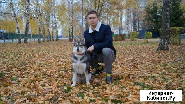 Фотосессия Чебоксары - изображение 1