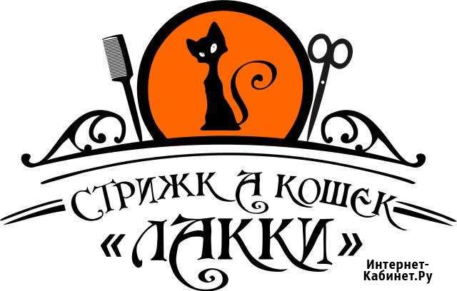 Стрижка кошек Бийск - изображение 1