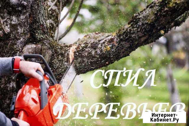 Спилить дерево Спил Кронирование Спиливание Воронеж - изображение 1
