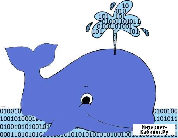 Ооо кит Златоуст - изображение 1