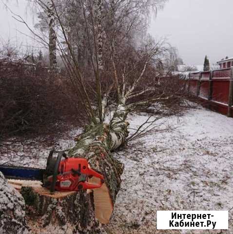 Спил деревьев, расчистка участков, корчевание пней Казань - изображение 1