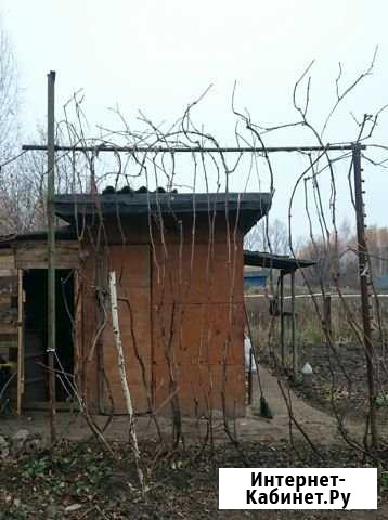 Профессиональная обрезка виноградника Курск - изображение 1