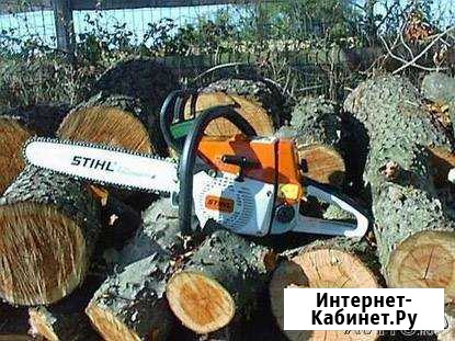 Удаление деревьев Луховицы - изображение 1