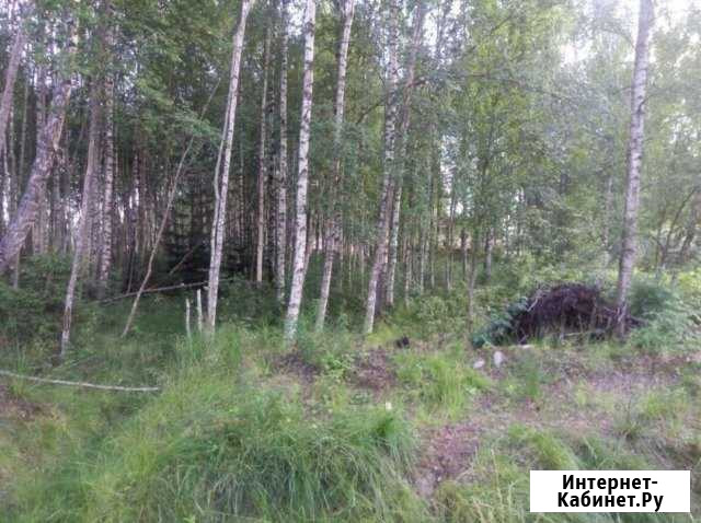 Разработка и благоустройство загородных участков Выборг - изображение 1