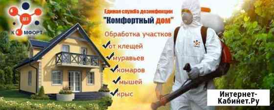 Выведение клопов,тараканов, крыс, мышей, ос, мух Борисоглебск