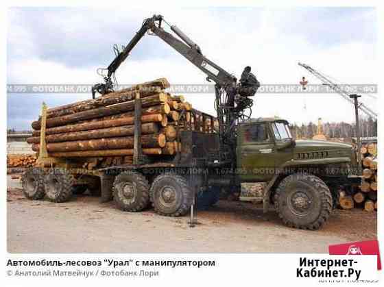 Услуги по вывозке леса с делянок Кириши