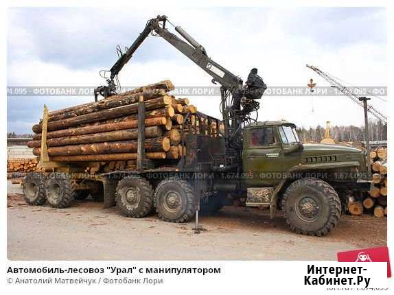 Услуги по вывозке леса с делянок Кириши - изображение 1