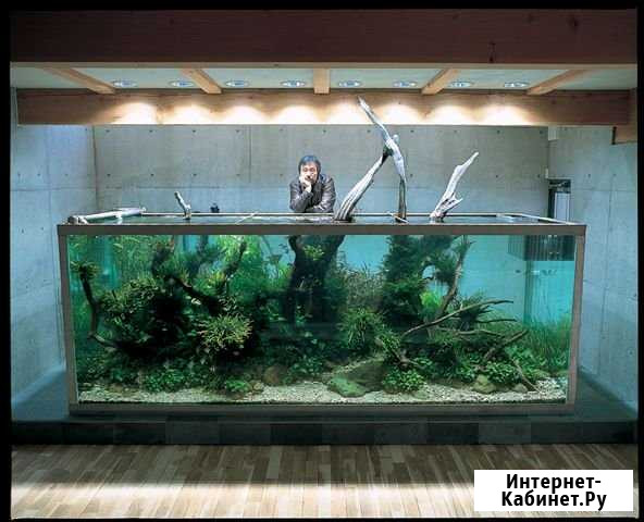Аквариумист Бронницы - изображение 1