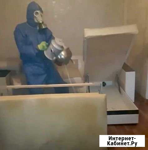 Уничтожение клопов, тараканов, плесени, крыс Подольск - изображение 1