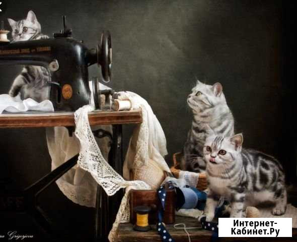 Пошив одежды Красногорск - изображение 1
