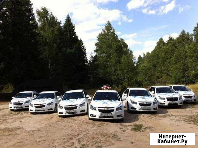 Катаем свадьбы на Шевроле Круз Городец - изображение 1