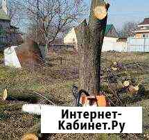 Спил деревьев,веток,любой сложности Евпатория