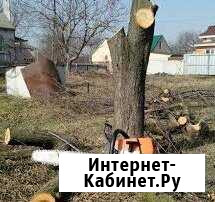 Спил деревьев,веток,любой сложности Евпатория - изображение 1