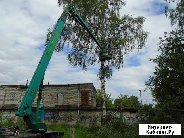 Удаление и спил деревьев, обрезка, корчевание Тверь - изображение 1