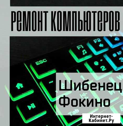 ESC- Ремонт компьютеров (Шибенец, Фокино ) Фокино - изображение 1