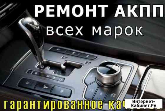 Сцепление шкода ауди Москва