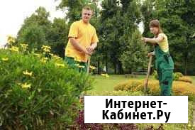Озеленение вертикальное, горшечное, ландшафтное Москва - изображение 1