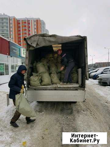 Вывоз мусора с грузчиками Сургут - изображение 1