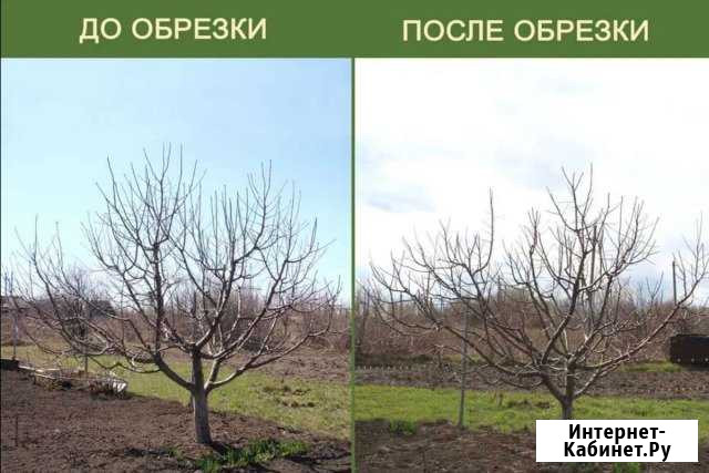 Сад Прохладный - изображение 1